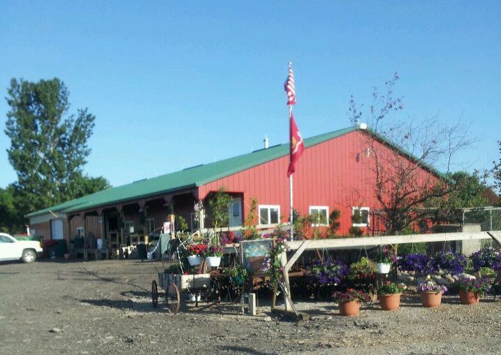 Anderson Tree farm Plainfield 